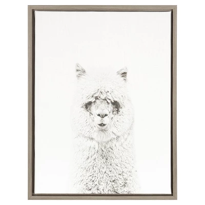 24" X 18" Hairy Alpaca Framed Canvas Art - Uniek - Image 3