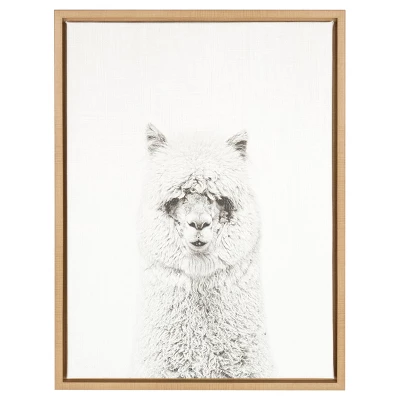 24" X 18" Hairy Alpaca Framed Canvas Art - Uniek - Image 4